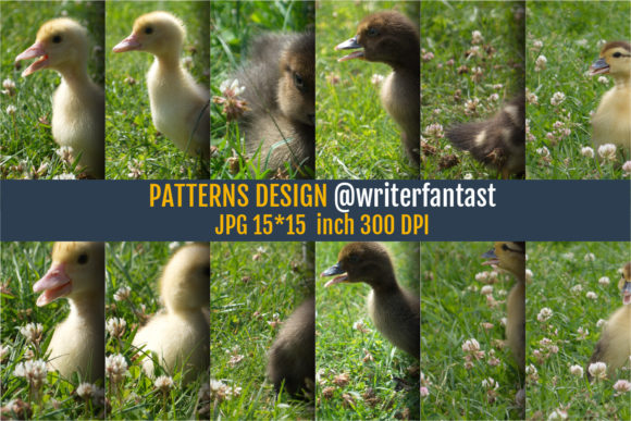 Duckling Patterns & Duckling Backgrounds for Creative Projects